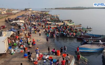 Município do Ambriz: Pescadores e vendedoras de peixe registam baixa com a proibição de pesca da sardinha