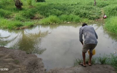 Há mais de 50 anos sem água potável: moradores do bairro Paranhos vivem em situação crítica