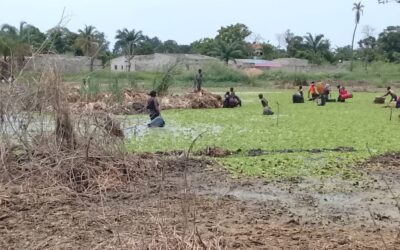 Inundações no Bengo criam lagoa que se torna principal renda de famílias em Caxito