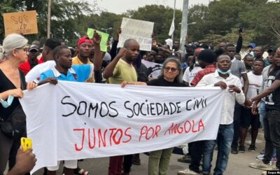 ONG prometem contestar nova lei e dizem que vão “lutar até à última consequência”