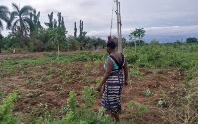 Chuvas de Abril salvam campanha agrícola e devolvem esperança a famílias no Bengo