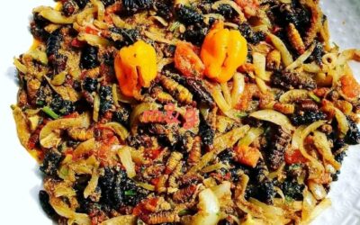 Na Barra do Dande, famílias mantêm vivo o consumo do tradicional “catato”