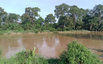 Abertura das comportas das Mabubas volta a inundar campos agrícolas no Bengo