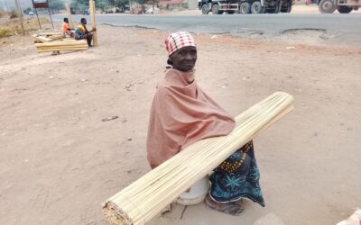 Venda à beira da estrada expõe famílias, incluindo crianças, a riscos no eixo Luanda-Bengo